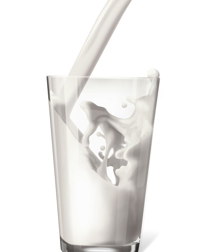 Webcam Milk